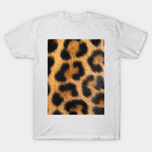 Big Leopard Print T-Shirt by NewburyBoutique